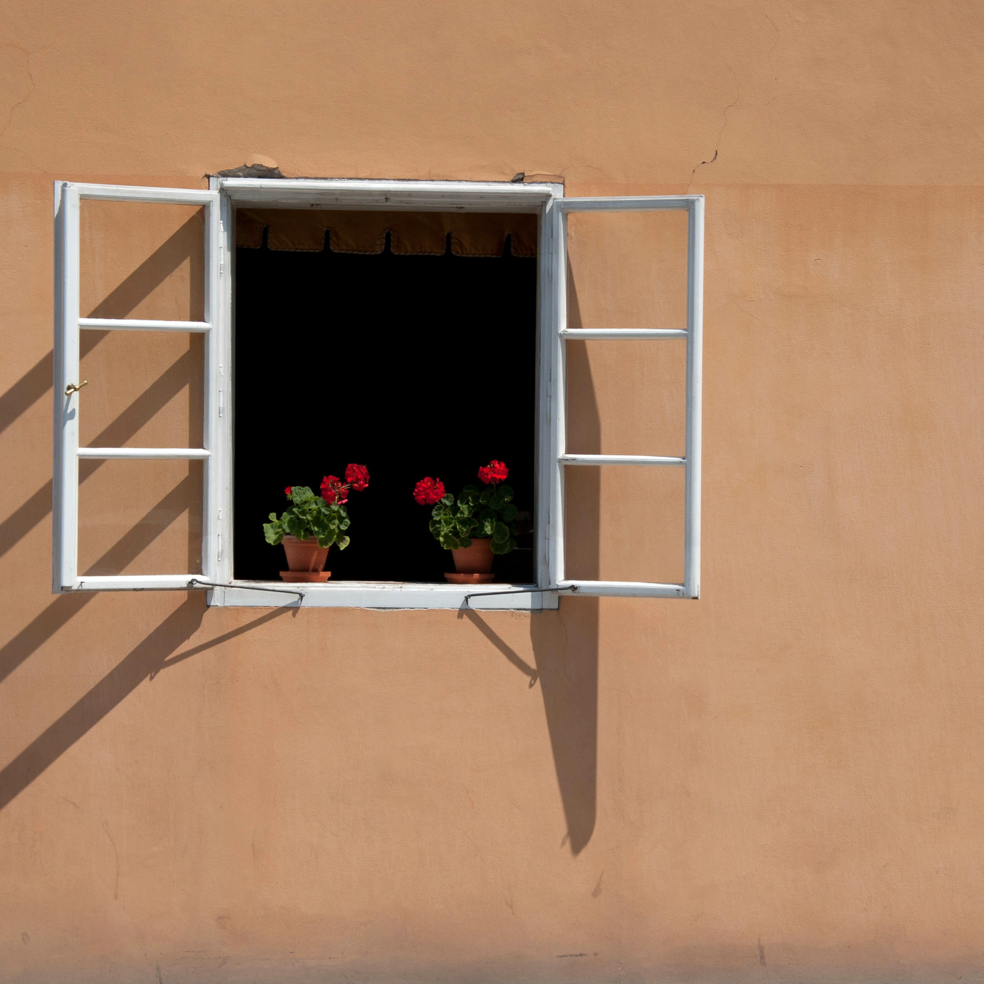 Photo of an open window with two potted, flowing plants against a beige stucco house