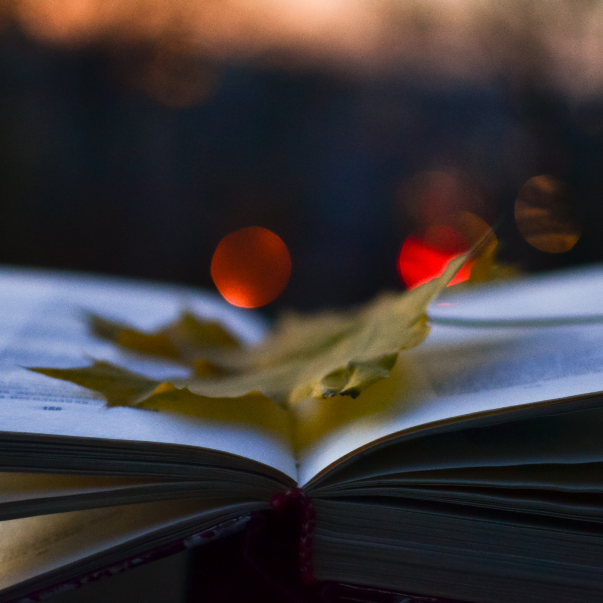 Photo of an open book with a fall leaf laying on the open page, with diffuse orange lights in the background.