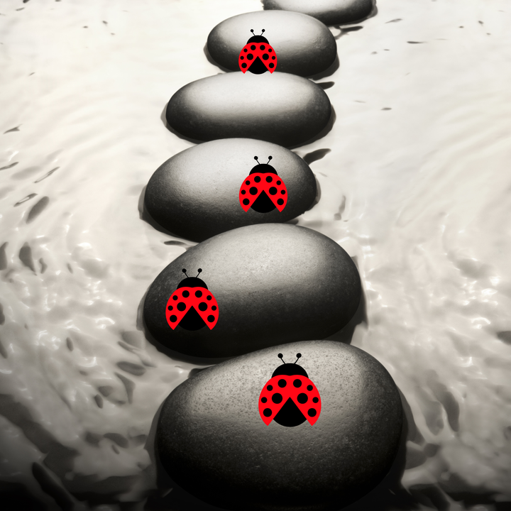 Black and white photo of a line of rocks resting in water with ladybug graphics on several stones.