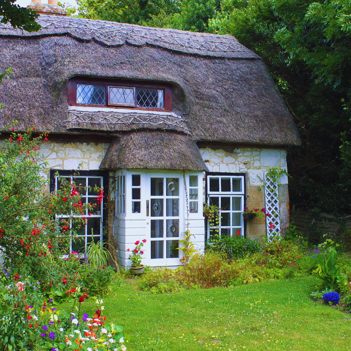 Photo of a English cottage with wildflowers in the foregrou